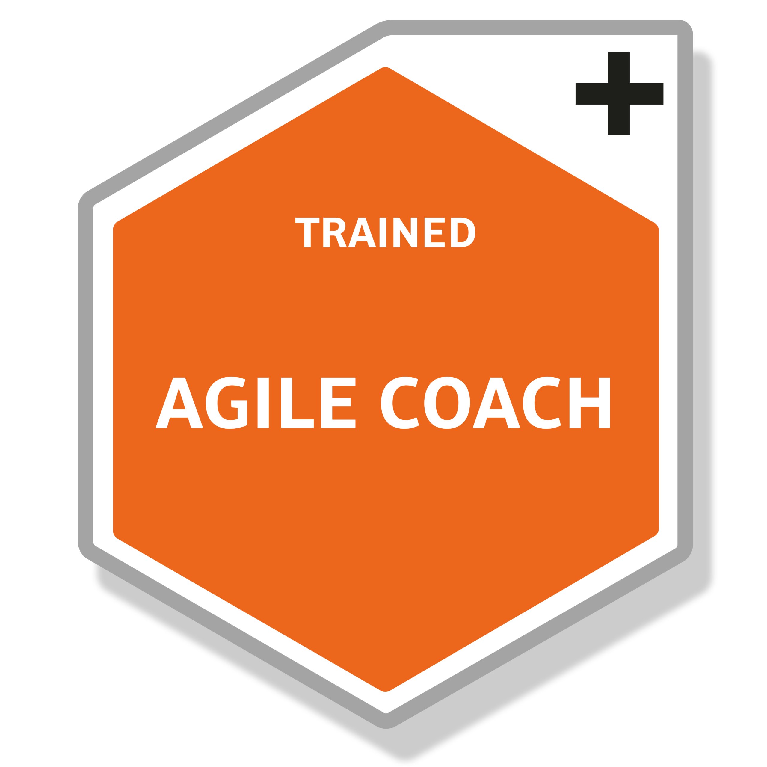 Orange digital Badge for UMS Agile Coach