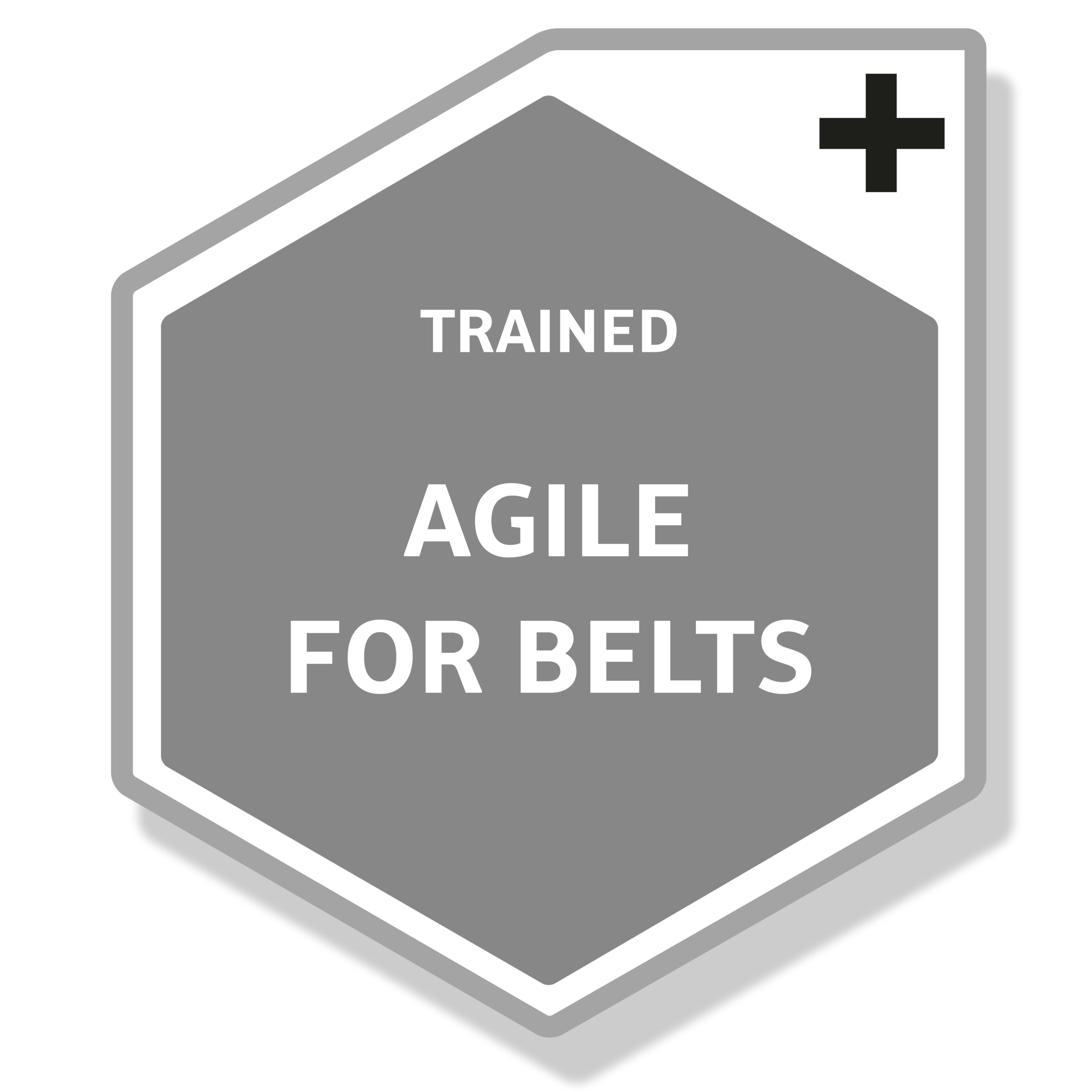 Darkgrey digital Badge for UMS Agile for Belts
