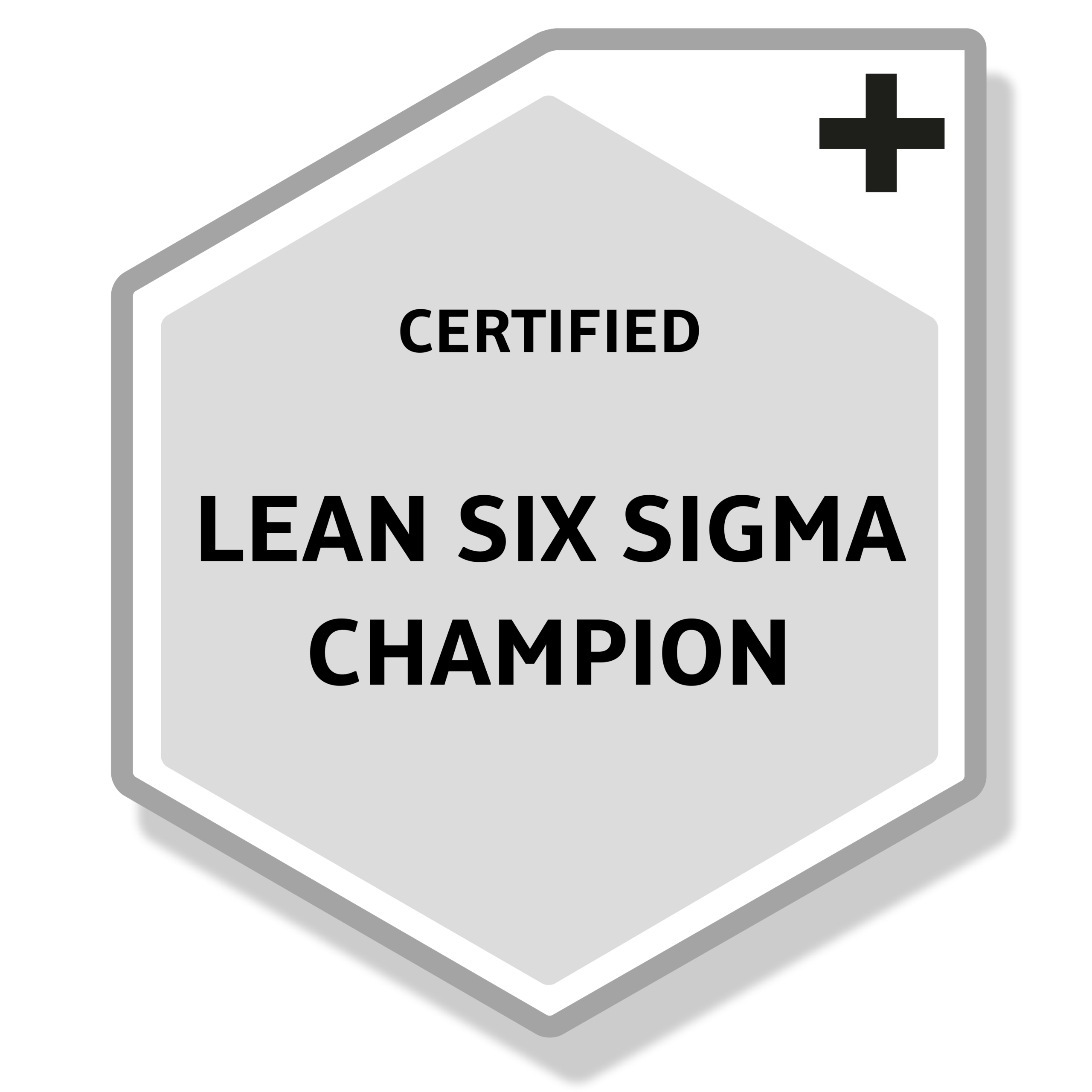 Grey digital Badge for UMS Lean Six Sigma Champion