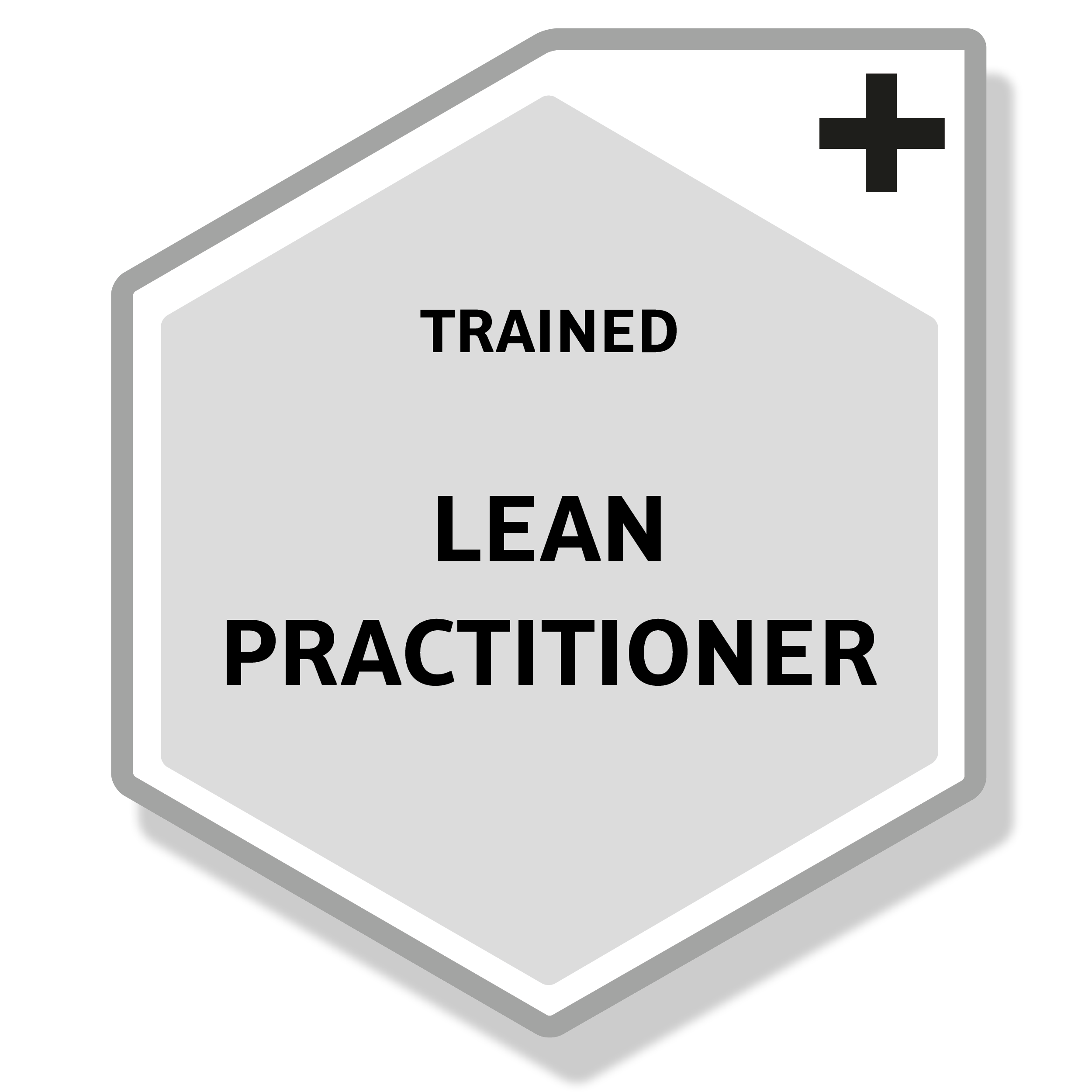 Grey digital Badge for UMS Lean Practitioner